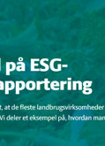 ESG-rapport
